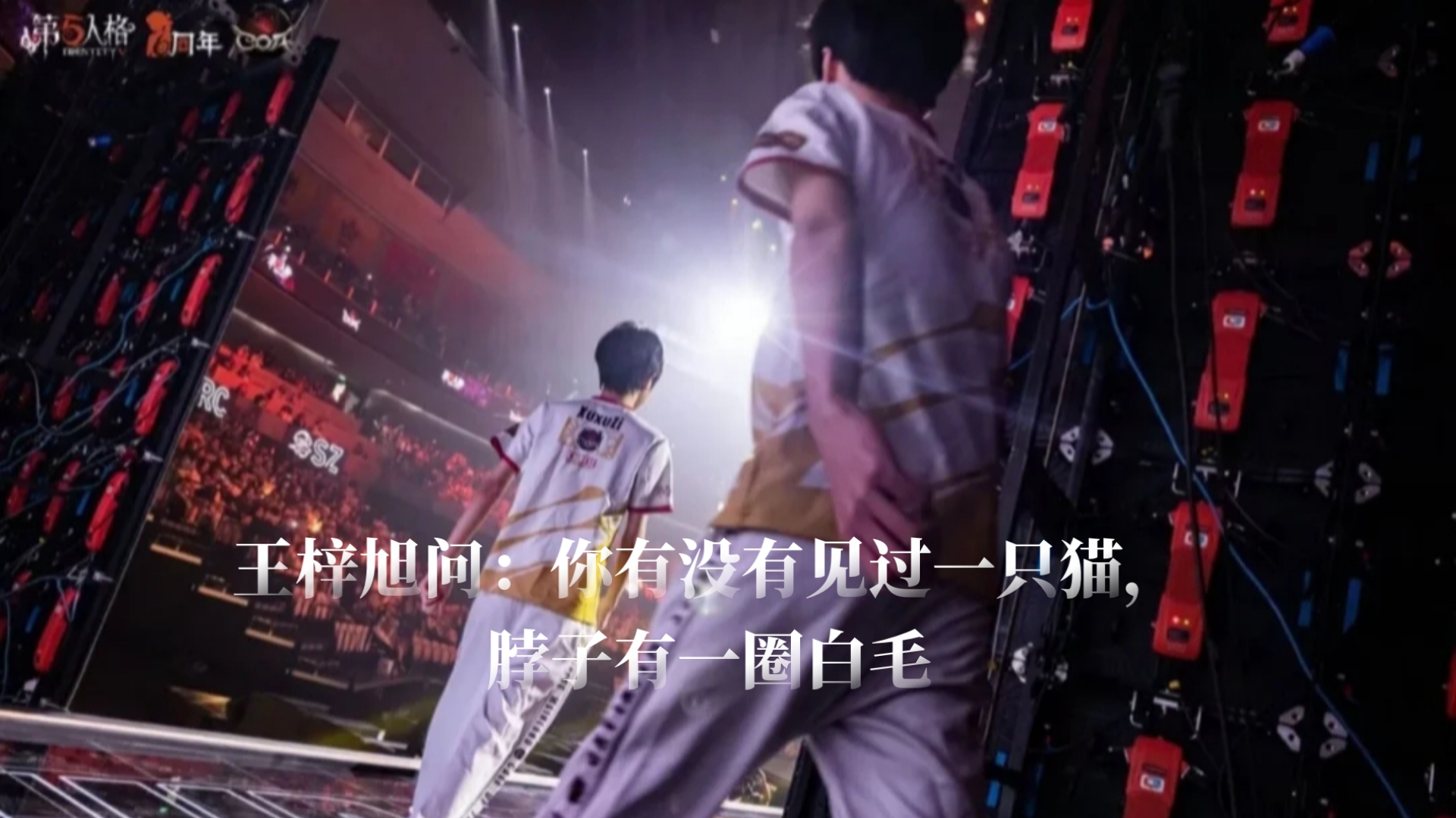 当我们在谈论猫时，我们在谈论什么