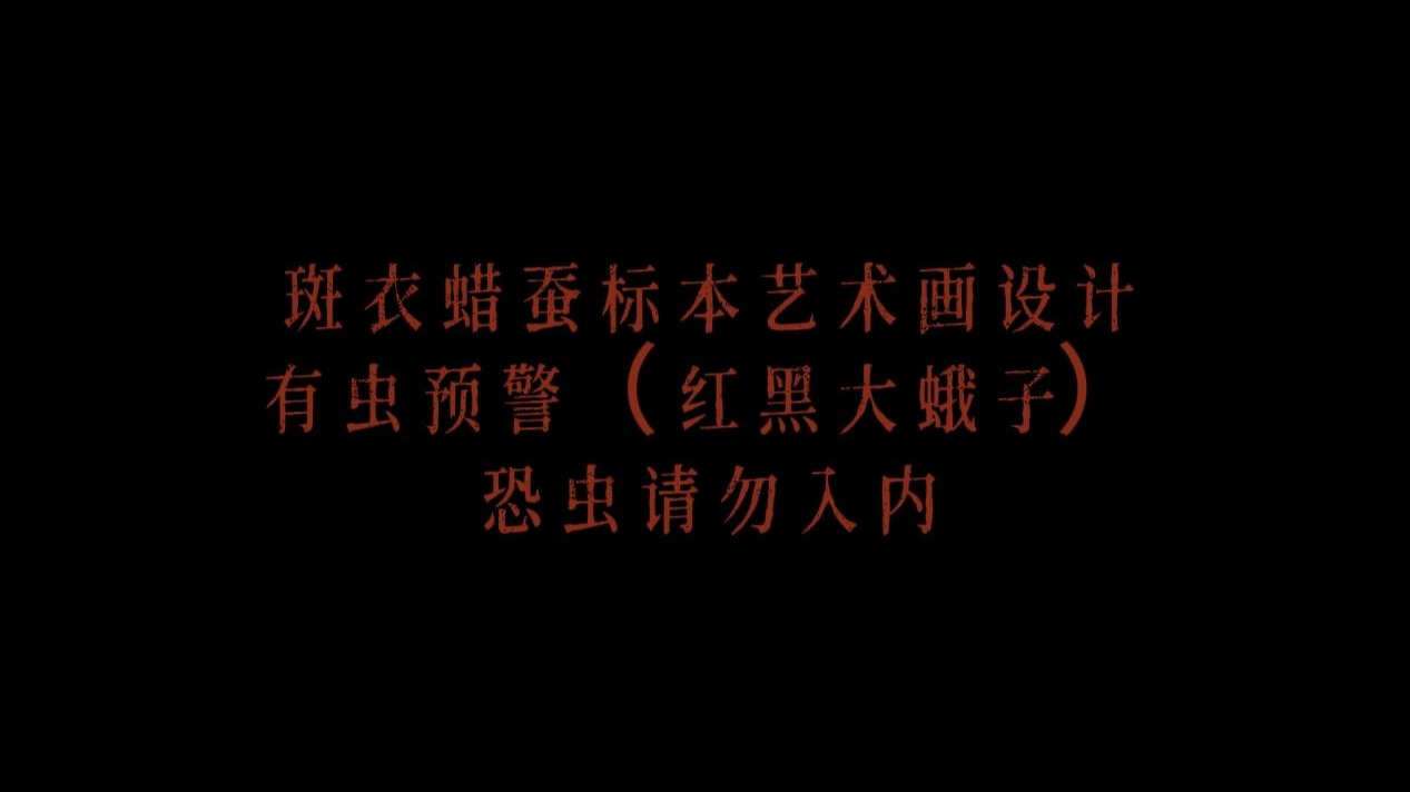 【你蝶来了】我去！花大姐！我去！花大姐！我去！花大姐！