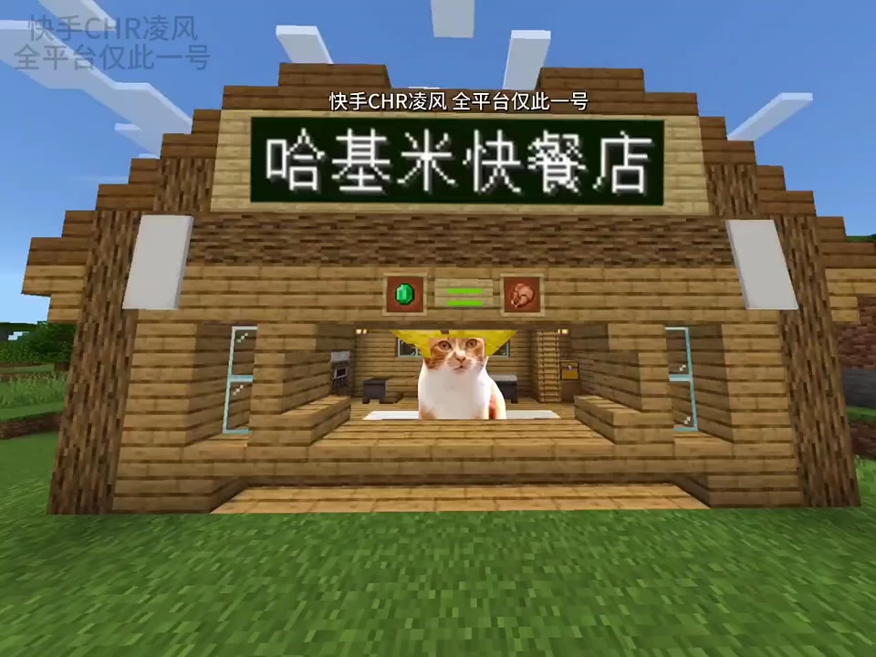 我的世界   猫meme