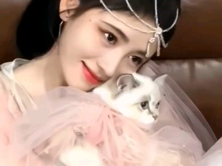 网友们，你们看，这是我的偶像鞠婧祎和她的小猫咪，鞠婧祎她的小猫