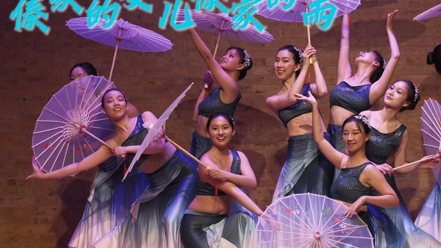 群舞《傣家的女儿傣家的雨》