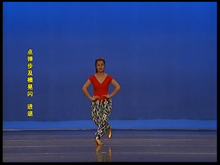 民大维族舞教材