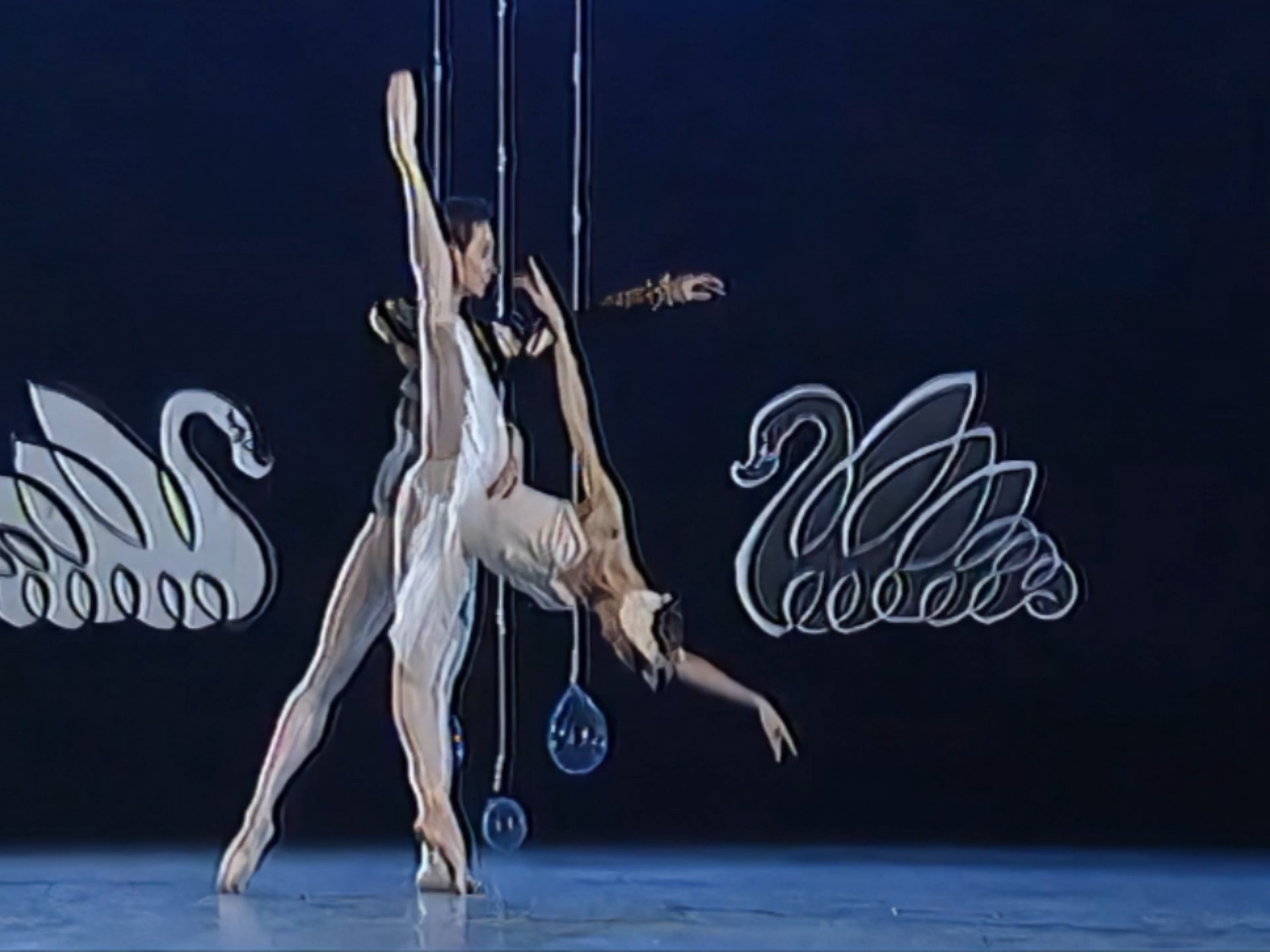 【芭蕾舞剧《天鹅湖》双人舞】  表演：范晓枫   杨新华  选自