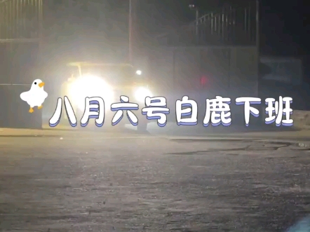 8月6号19点53分鹿鹿下班。#白鹿
