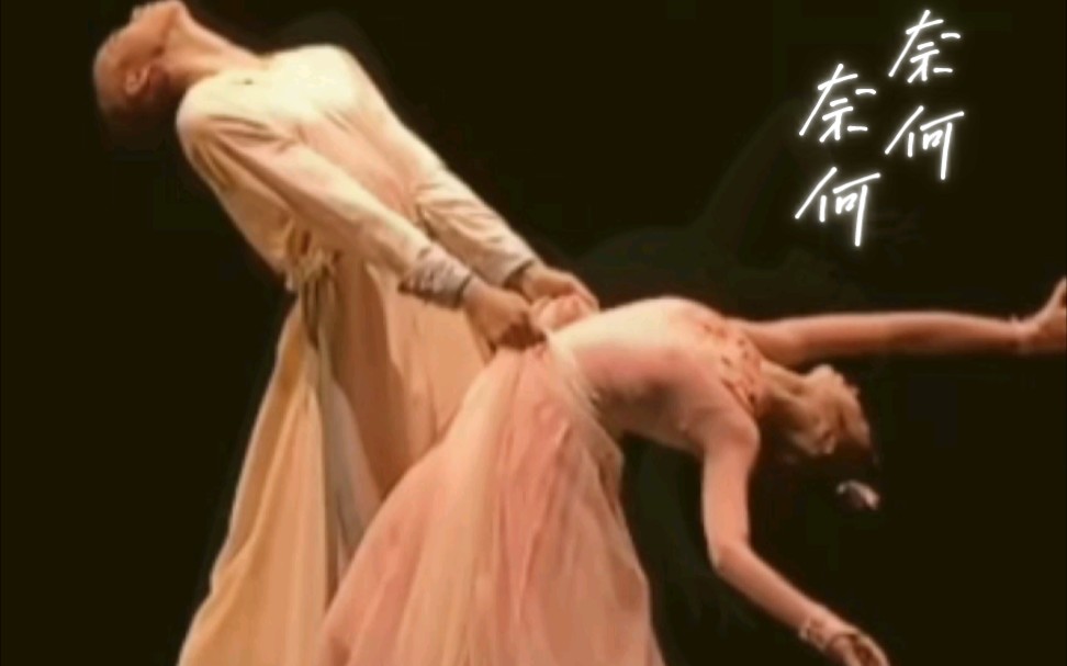 人间悲欢 由不得我 奈何 奈何～