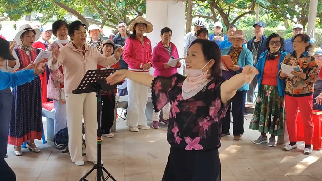 歌舞表演《红太阳照边疆》