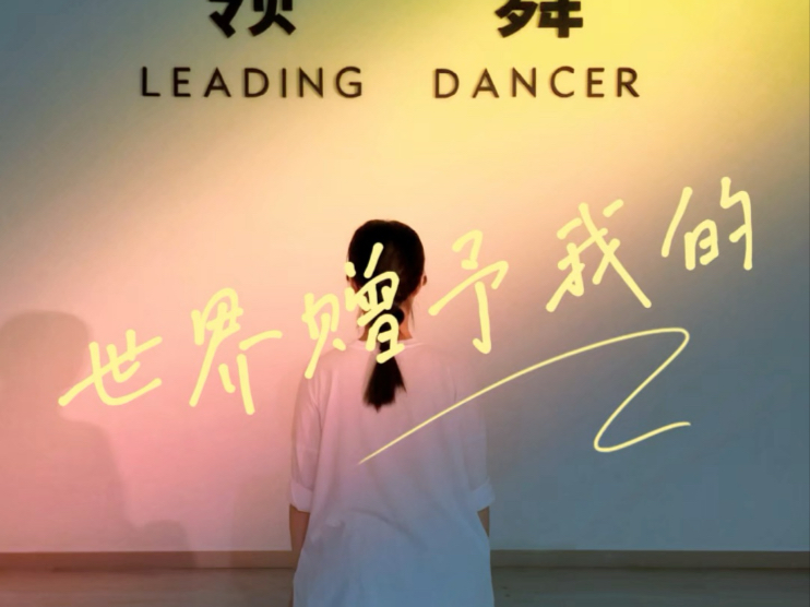 世界赠予我的，痛苦亦全部接受