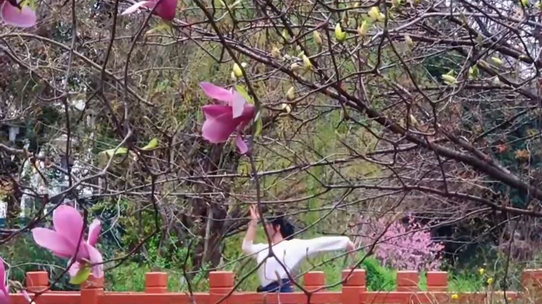 怎叹呐 山有木兮那木有枝 心悦君兮啊君不知