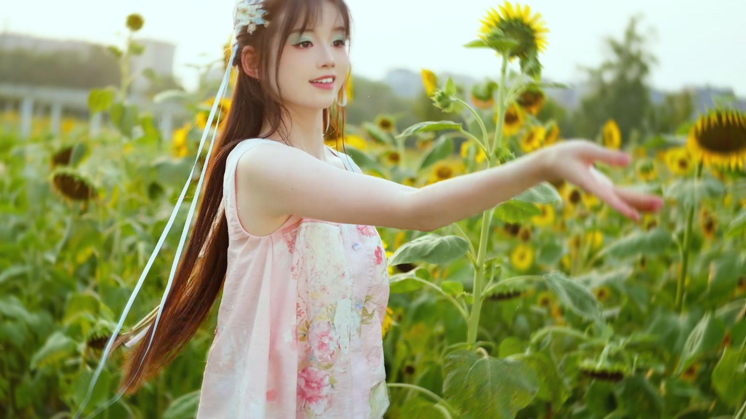 初晴，在花田里跳支舞