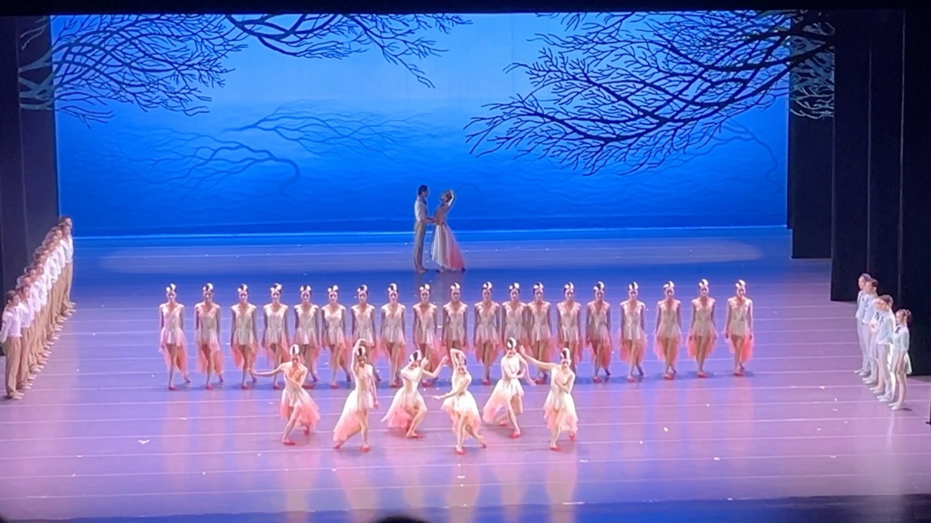 【谢幕】舞剧《朱鹮》2025.7.5晚场郑州大剧院