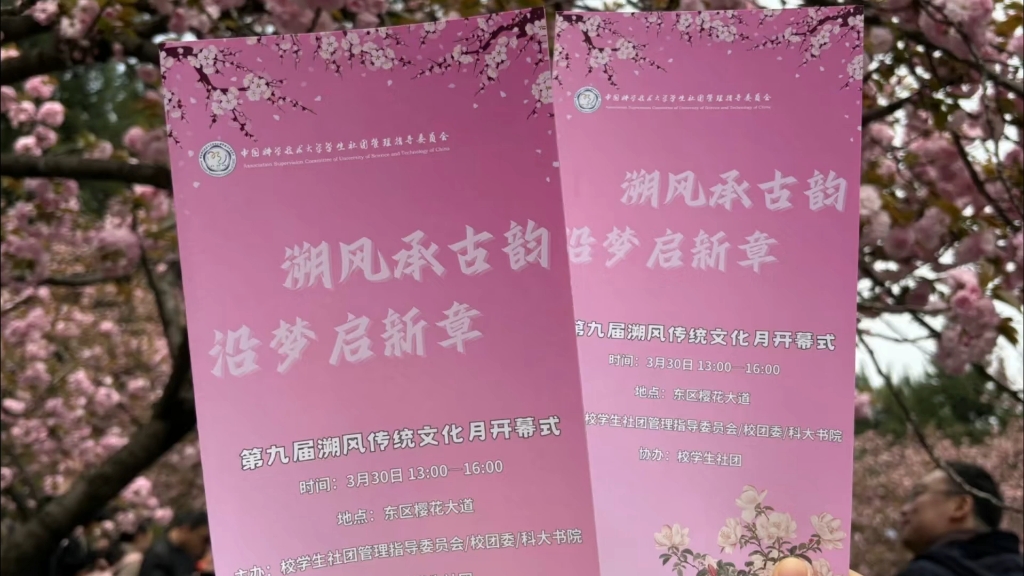 第九届校园樱花节  丽江鼓舞蹈组合  海天芳华