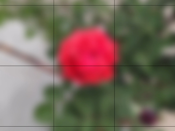 远近结合，静待花开