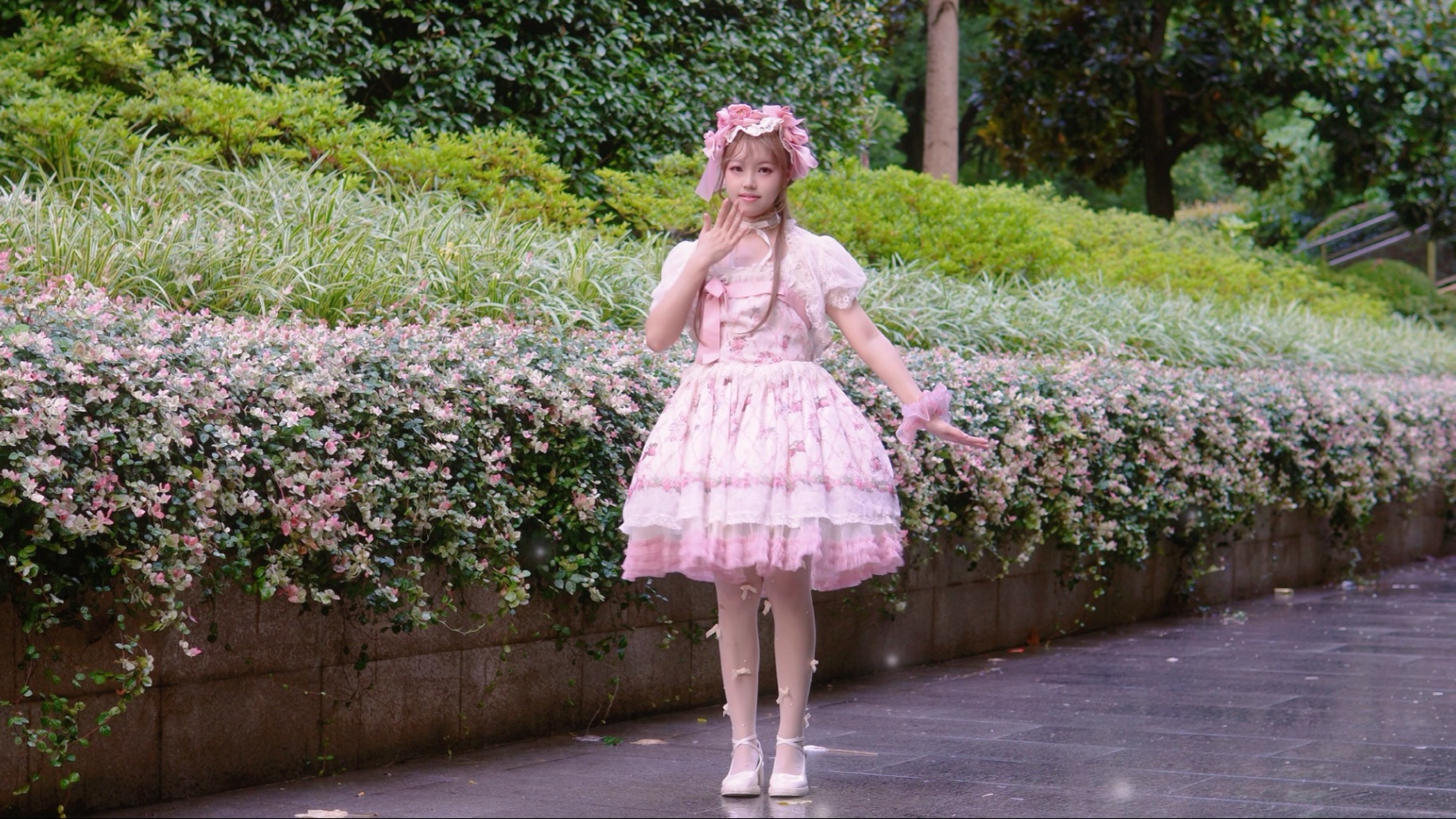 地铁口跳再见波斯菊