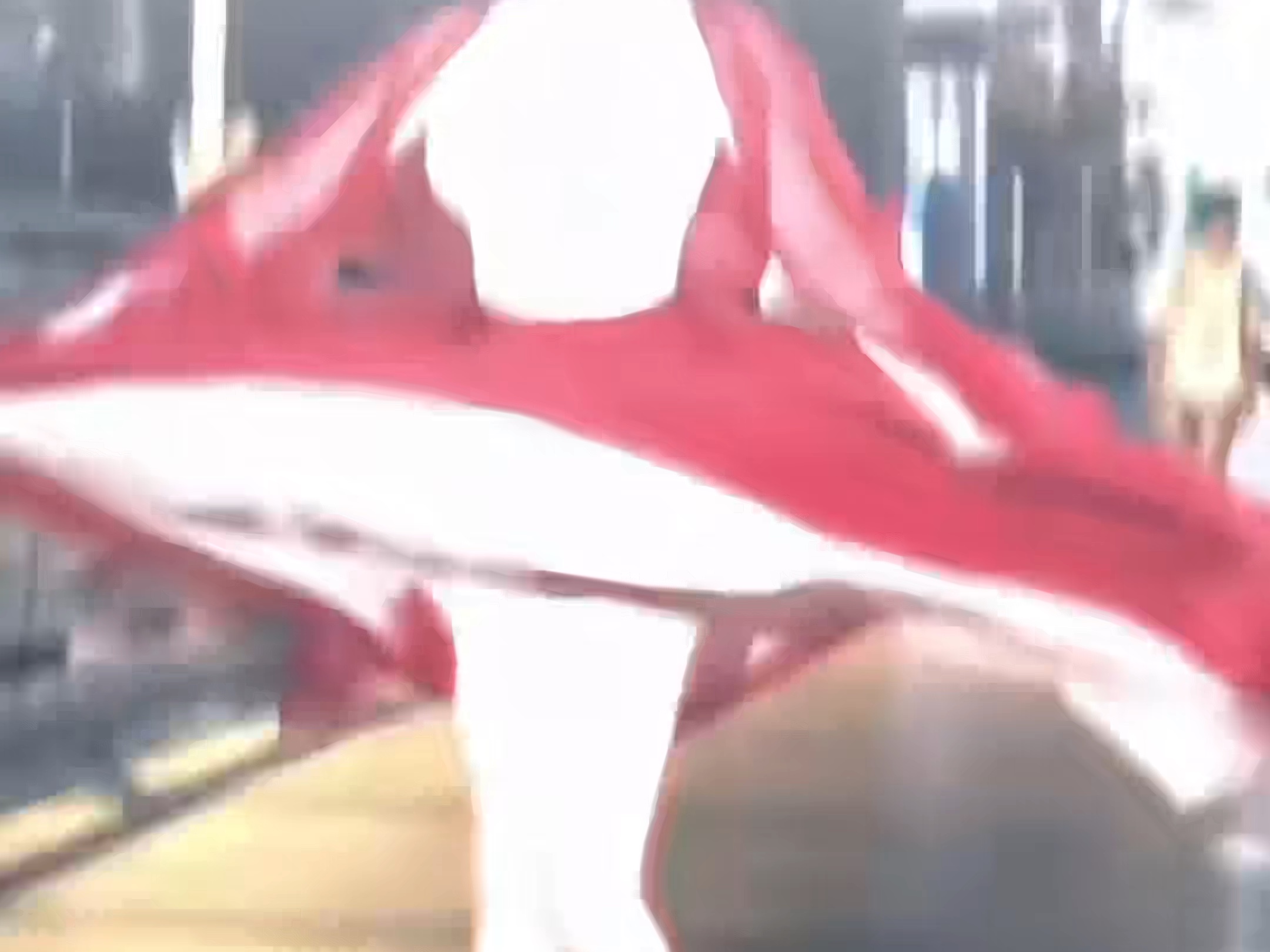 武能上马定乾坤，文能立地一字马