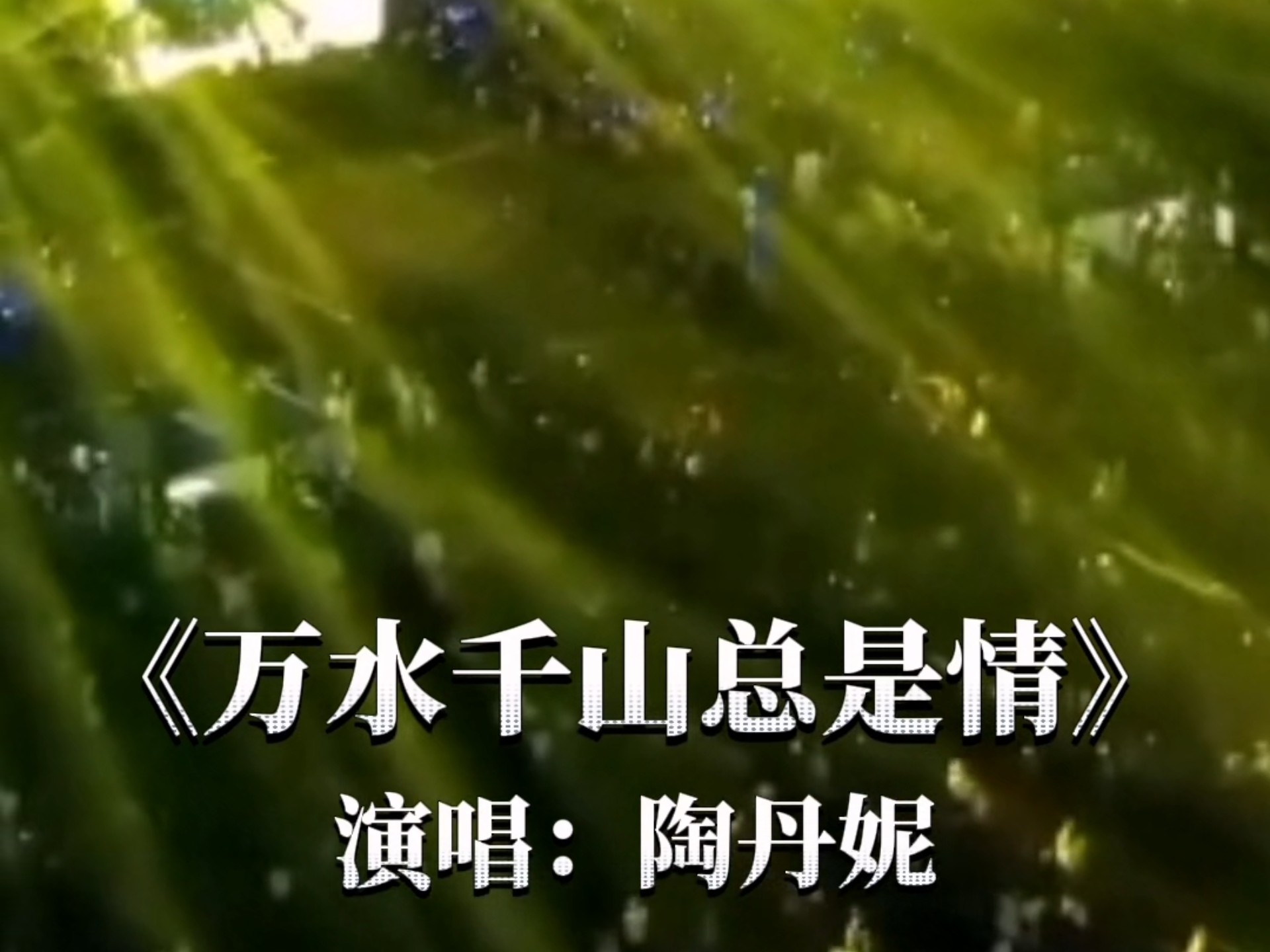 《万水千山总是情》演唱：陶丹妮 #粤语老歌 #经典老歌 #演出现