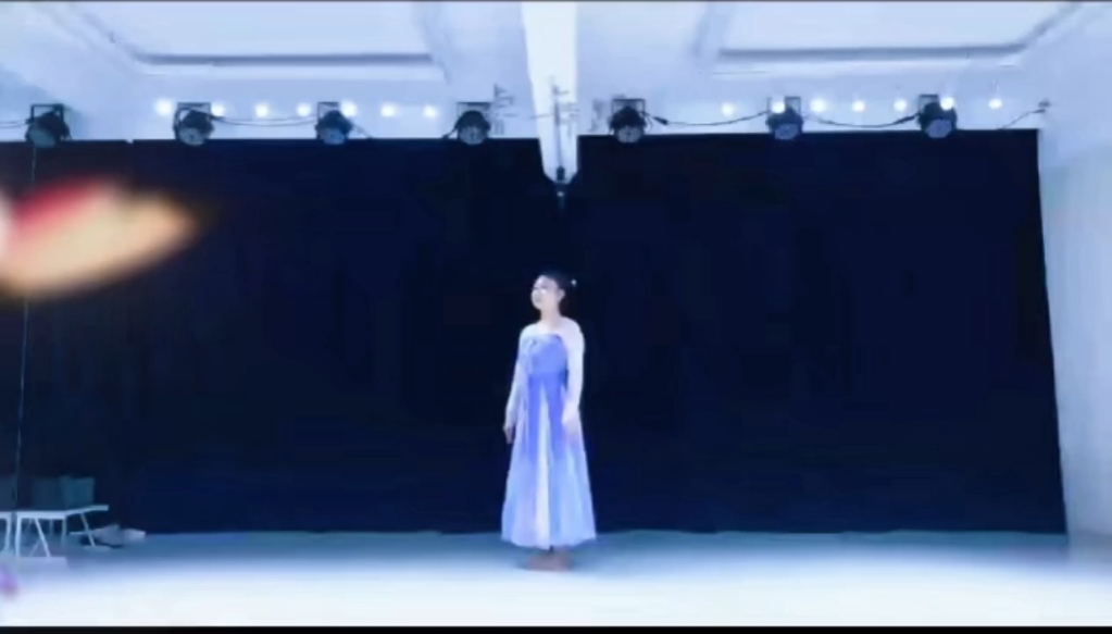 翩如兰苕翠，婉如游龙举