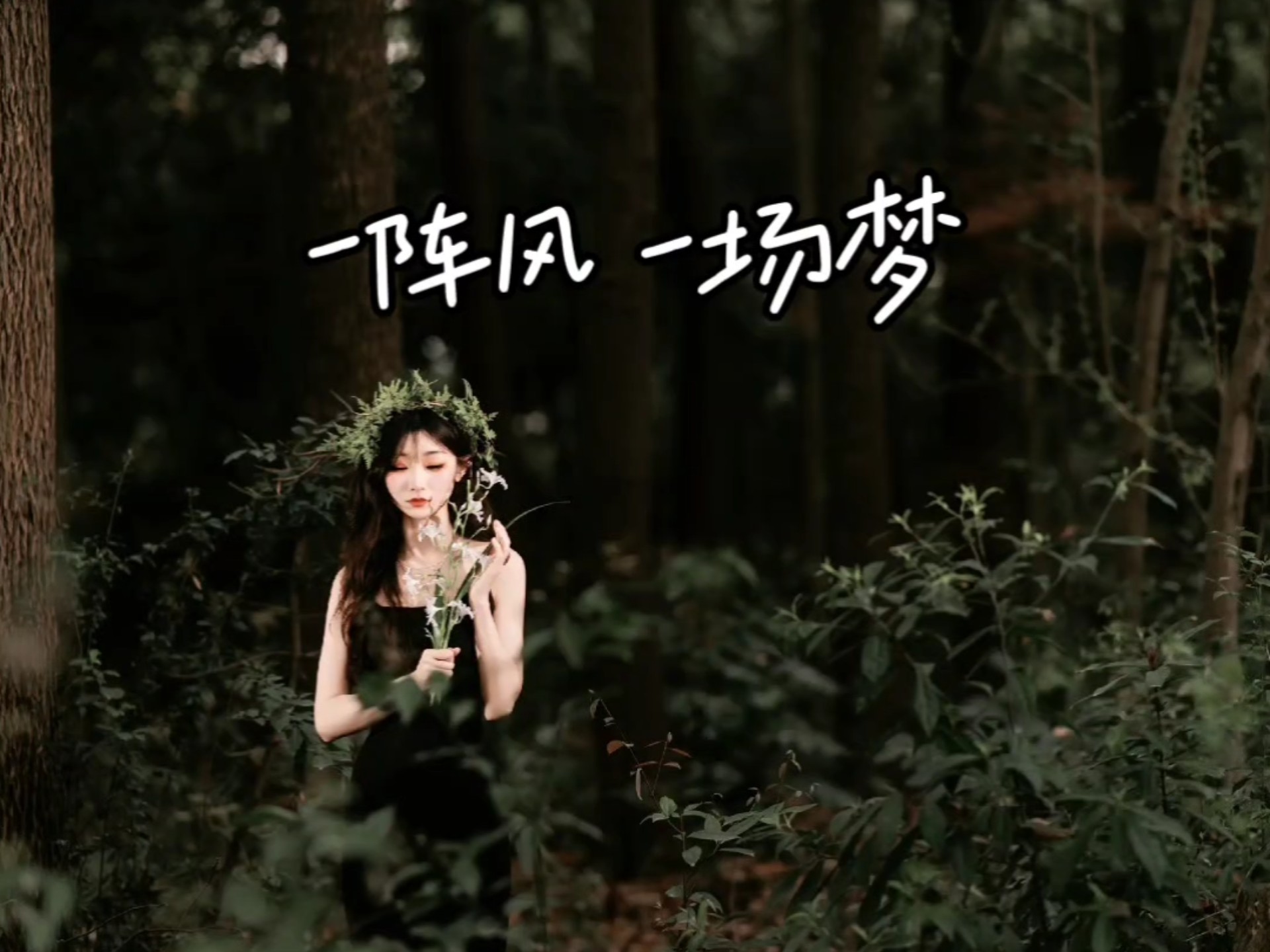 一阵风 一场梦