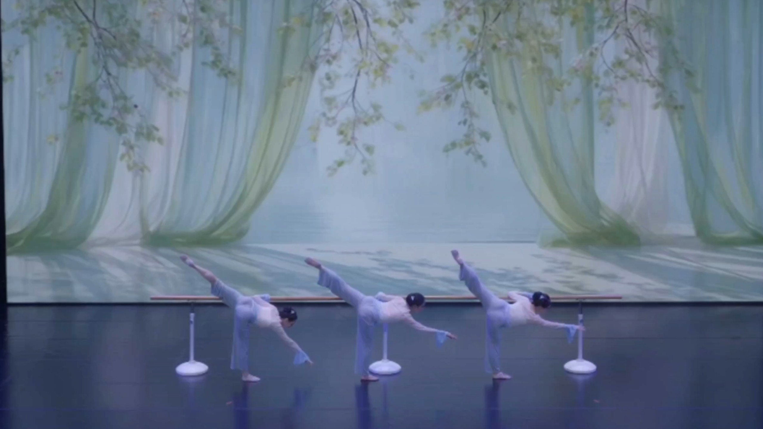 【基训｜把杆组合】「春来」秋去相思在