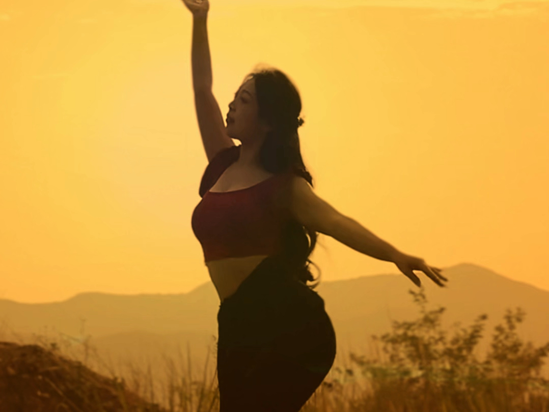 再跳一遍须尽欢，敬我们初相识#古典舞 #影子舞 #夕阳下的背影 