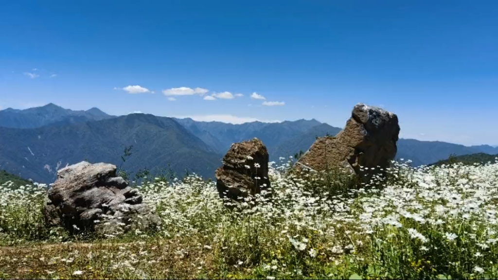 七月的九顶山#我的避暑日记