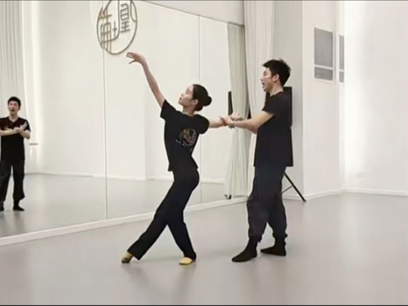 古典舞分解全套教材