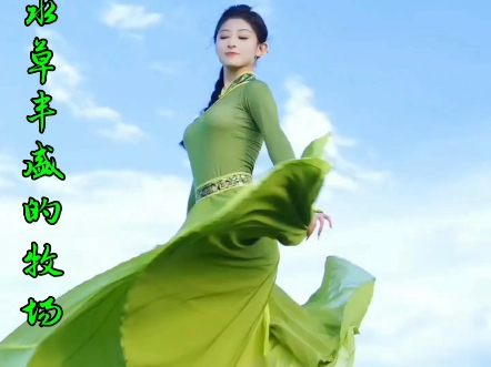 爱上这水草丰盛的牧场