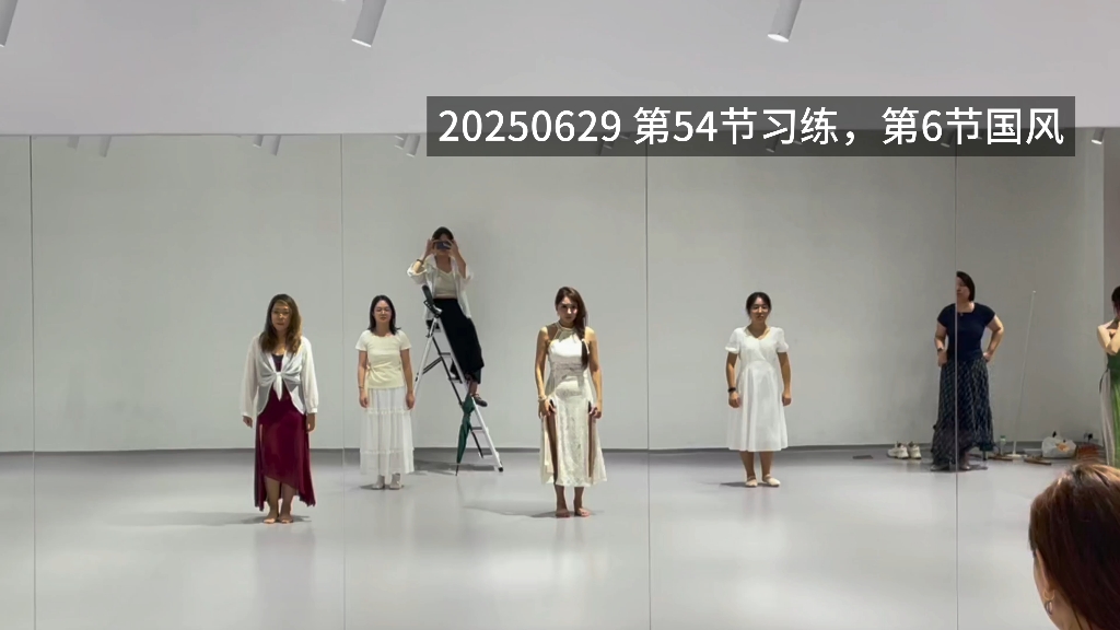 20250629_054_06_国风