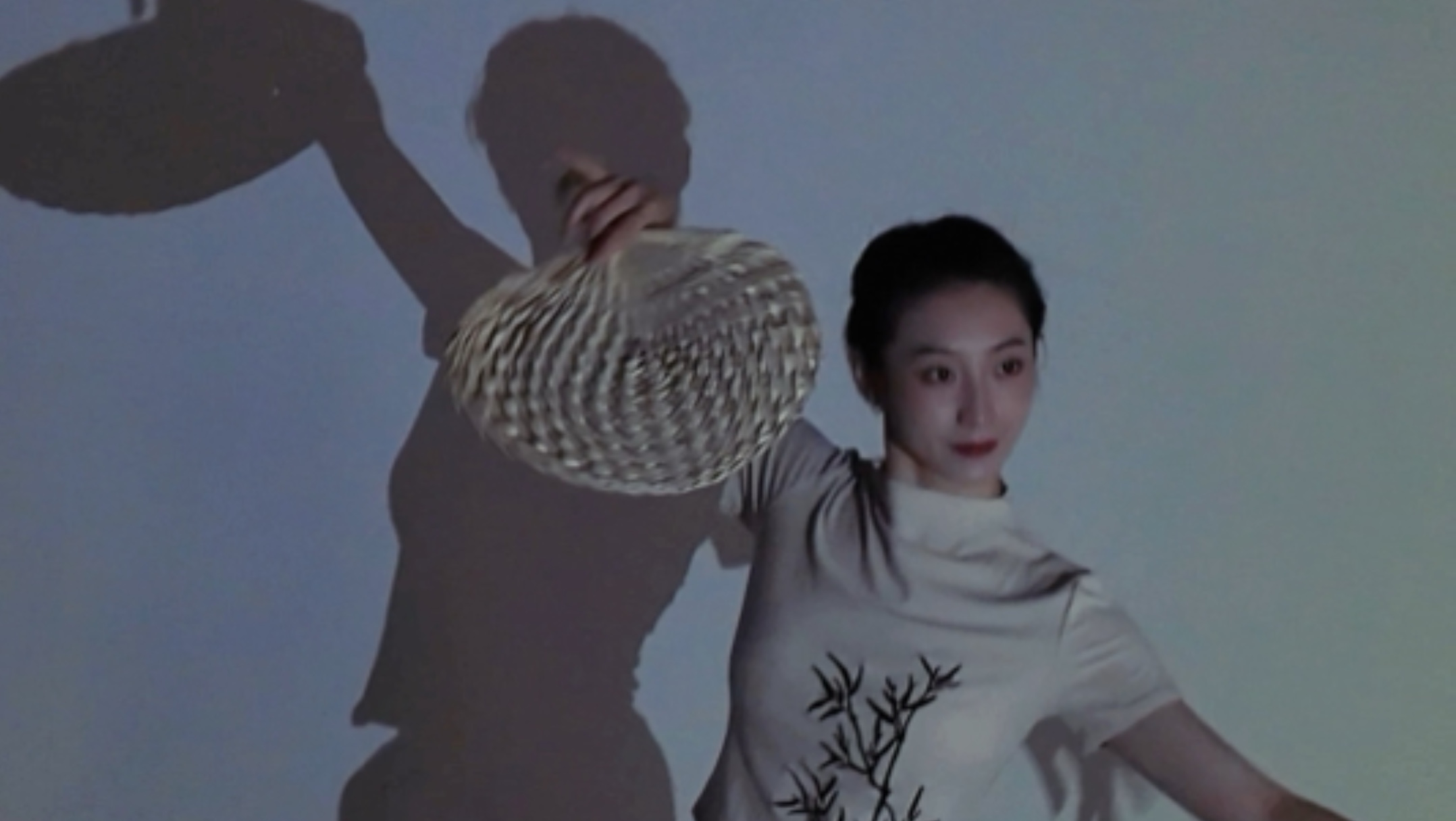 门前老树长新芽