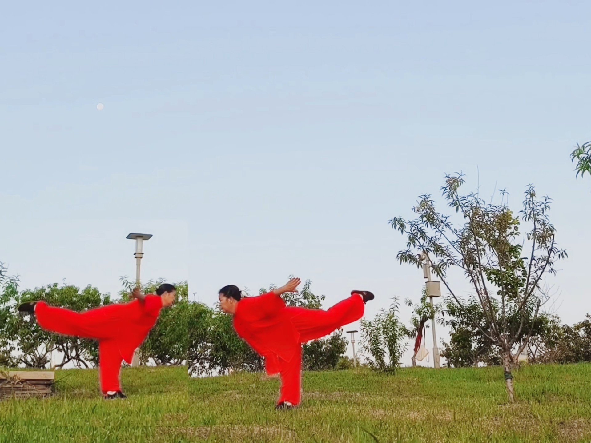 太乙游龙拳之青龙撅尾