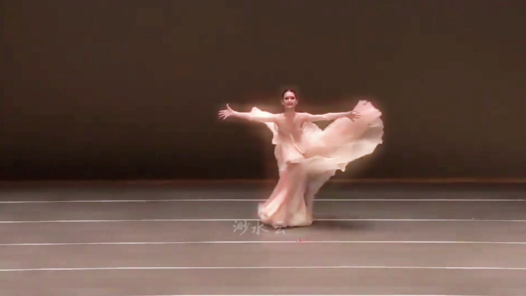 翩若惊鸿具象化了