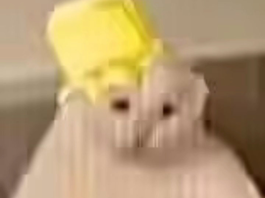 给龟龟的银当表情包