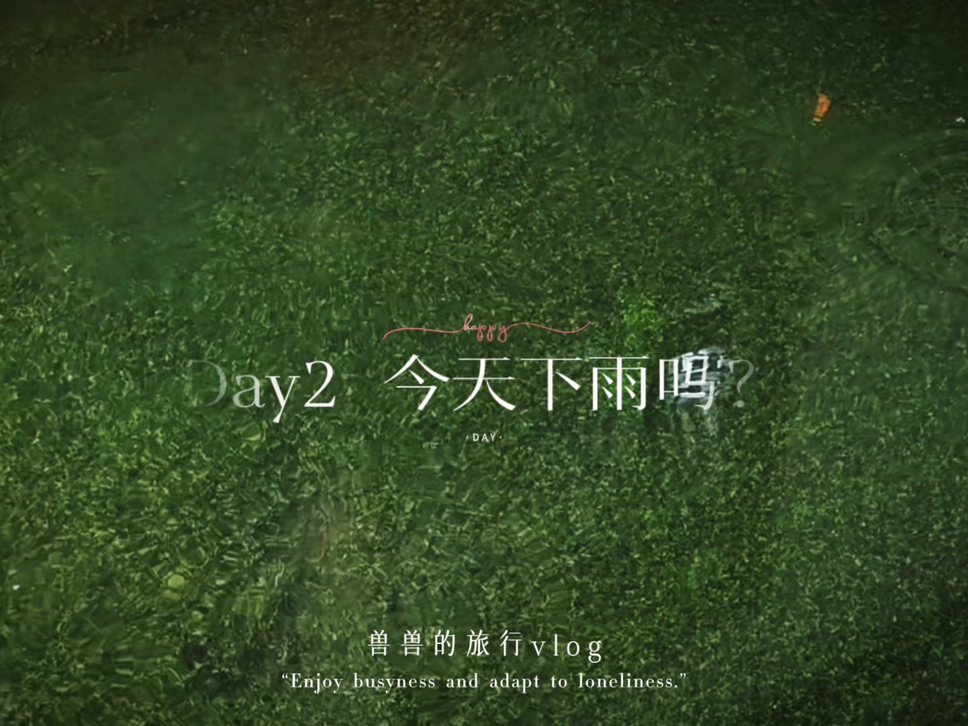 丽江-香格里拉第2集自由行vlog