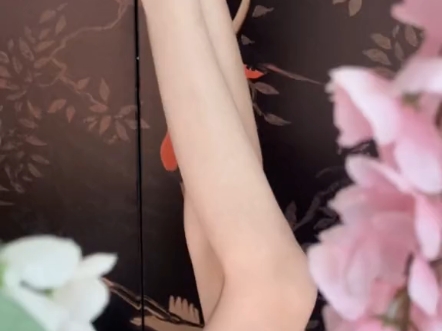 灿如春花皎若秋月