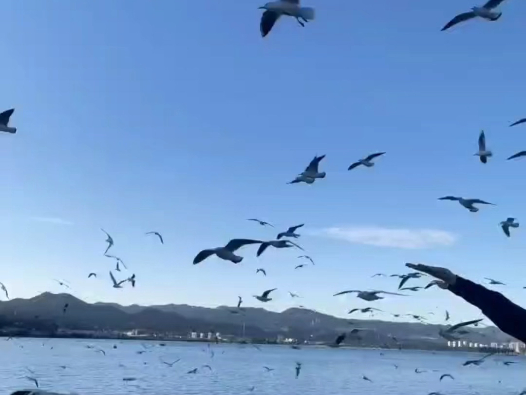 万幸得以相识，遗憾止于相识。离别是人间常态,我们都无法例外