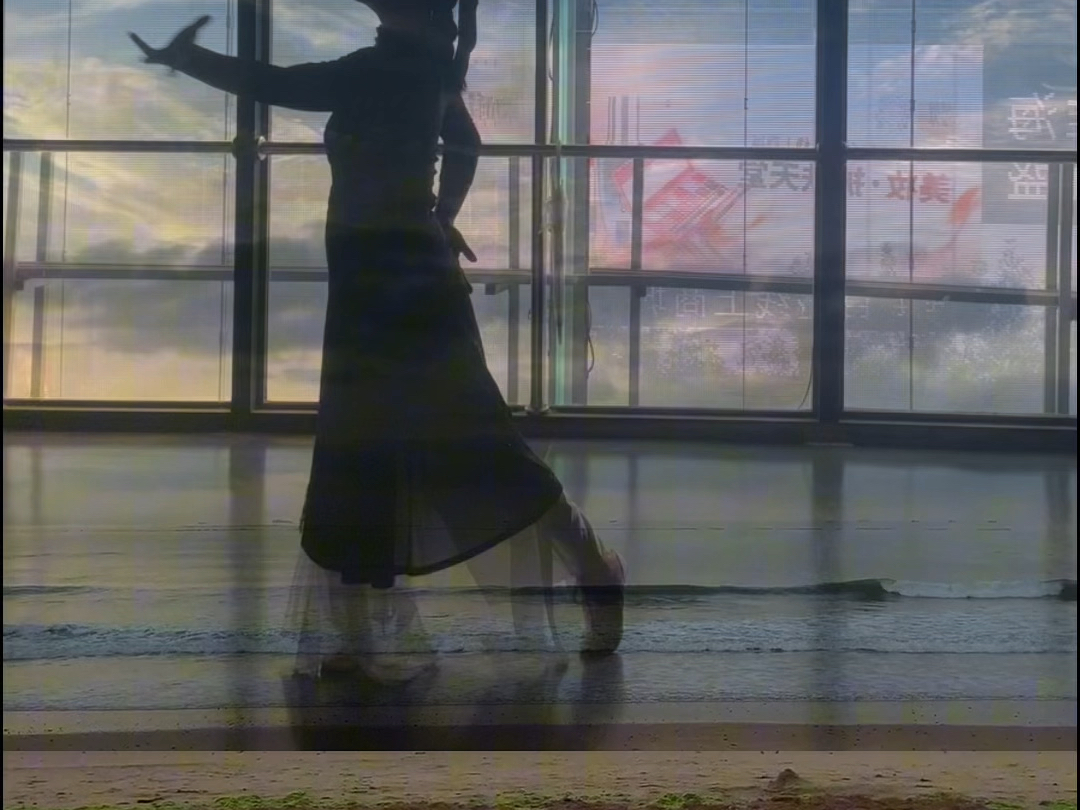 我的舞蹈日记：不负众望