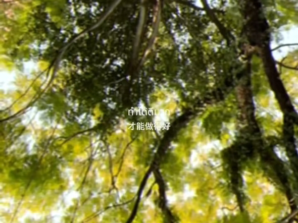 “小事既欢 小清既安୧⍤⃝”