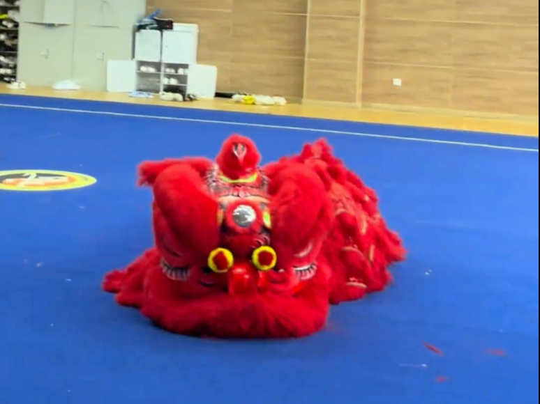 年轻人就是好倒头就睡~