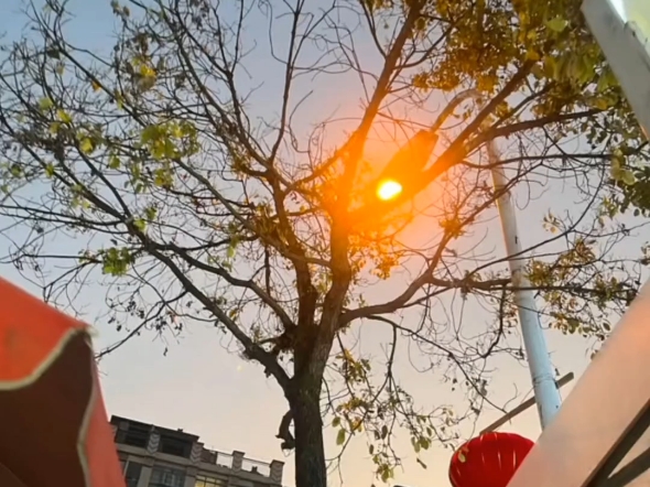 没有阳光的时候 觉得灯也很耀眼