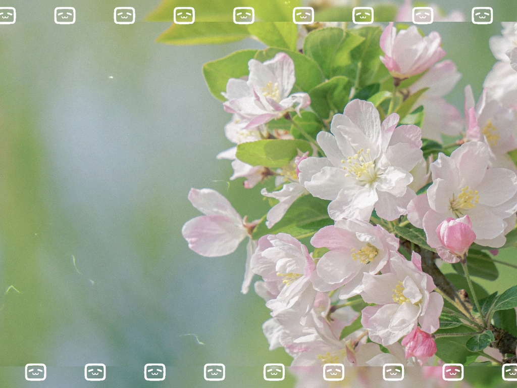 生活小情趣，花景小拍，希望大家喜欢