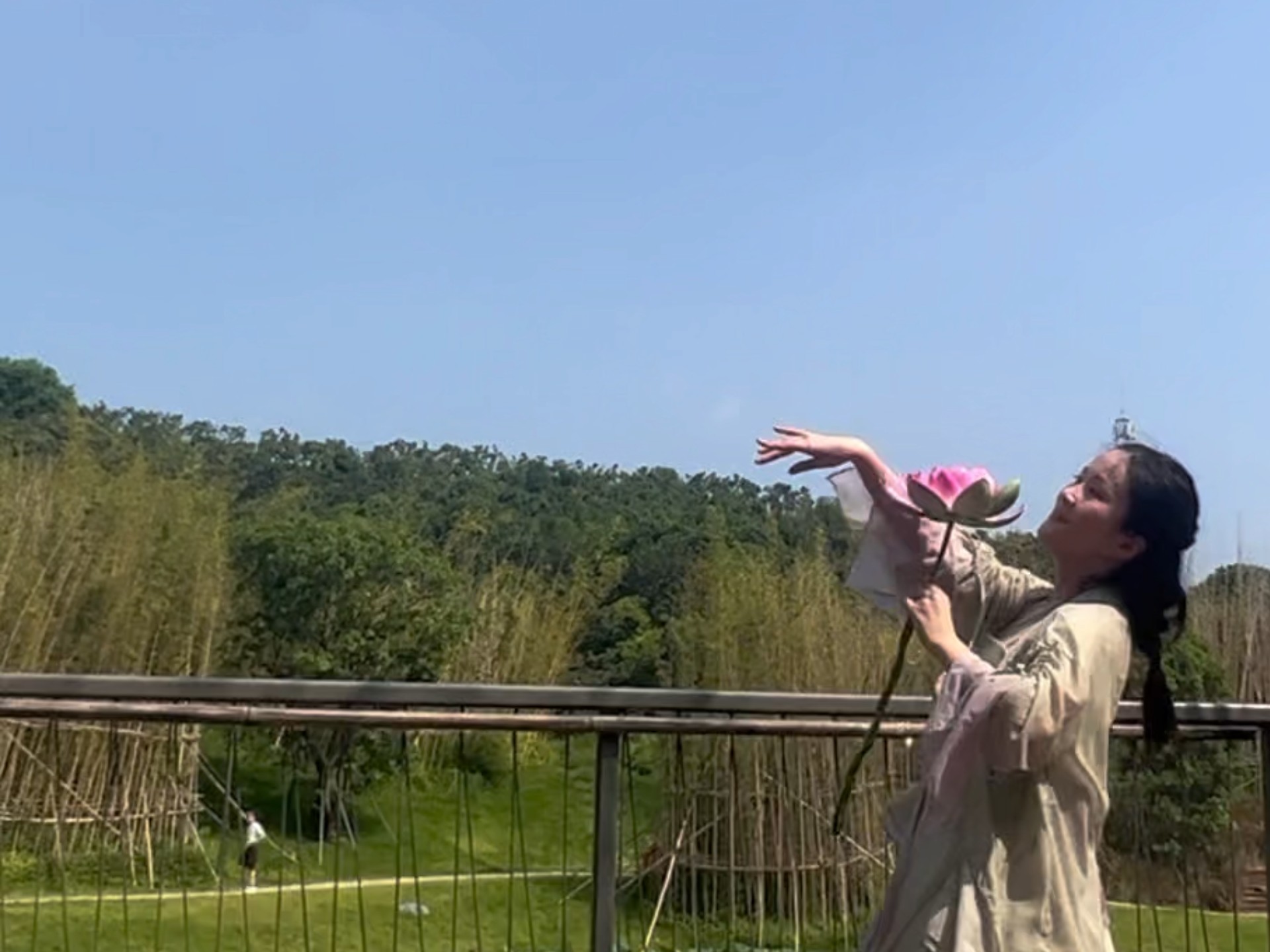 《盈盈芙蓉语》夏天就该去看荷花[偷笑]编舞：跳舞的倩倩