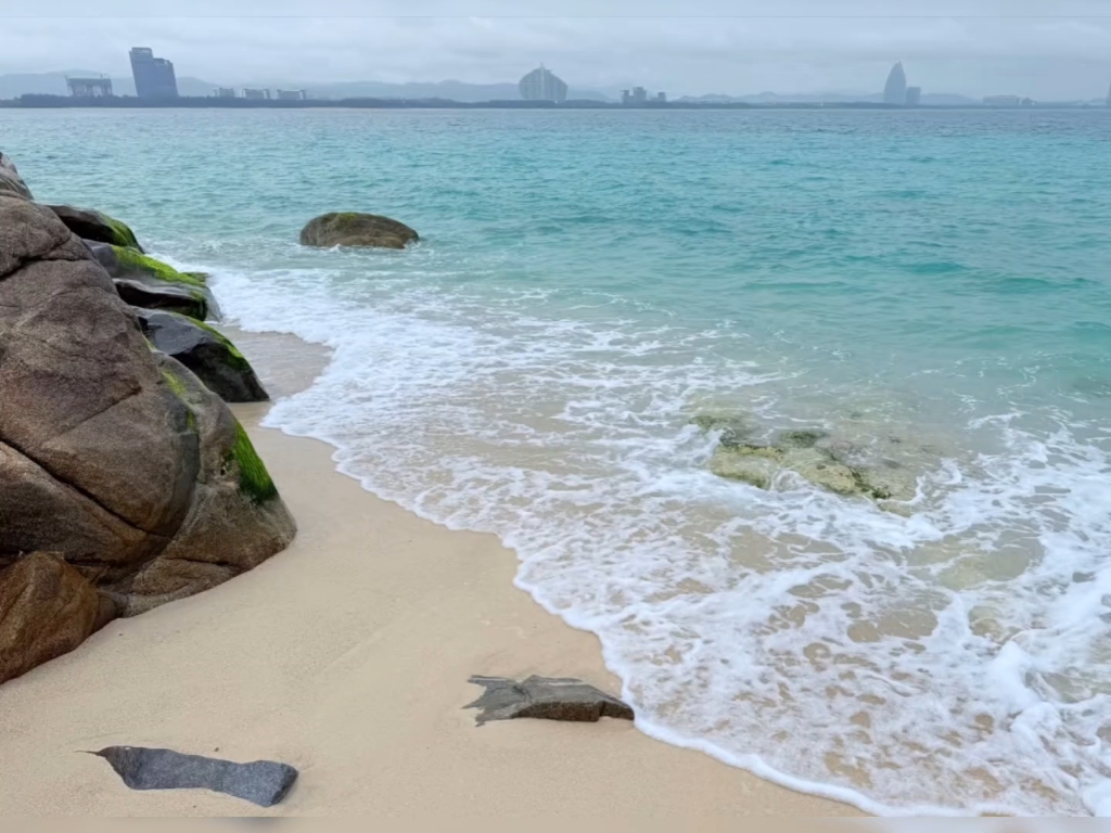 海嘛想你陪我看