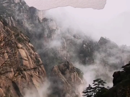 手机随便，黄山云海，有点仙＃仙境云海 ＃黄山 2021年4月