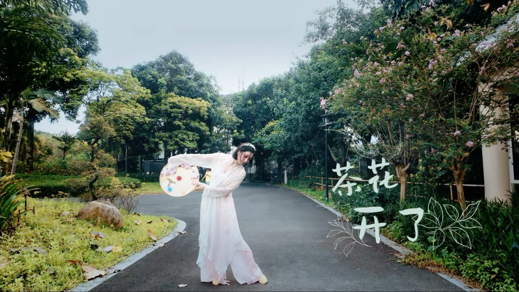 茶花开了～回忆如此温暖醇厚