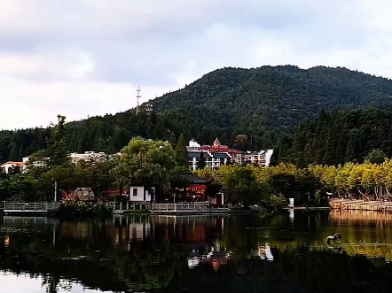 这景色太美了#井冈山公园#风景#随拍#原创视频#创作灵感