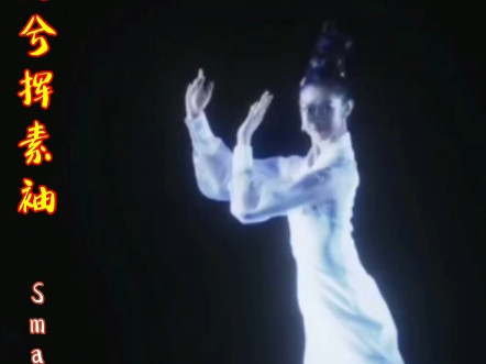 云乘龙兮挥素袖