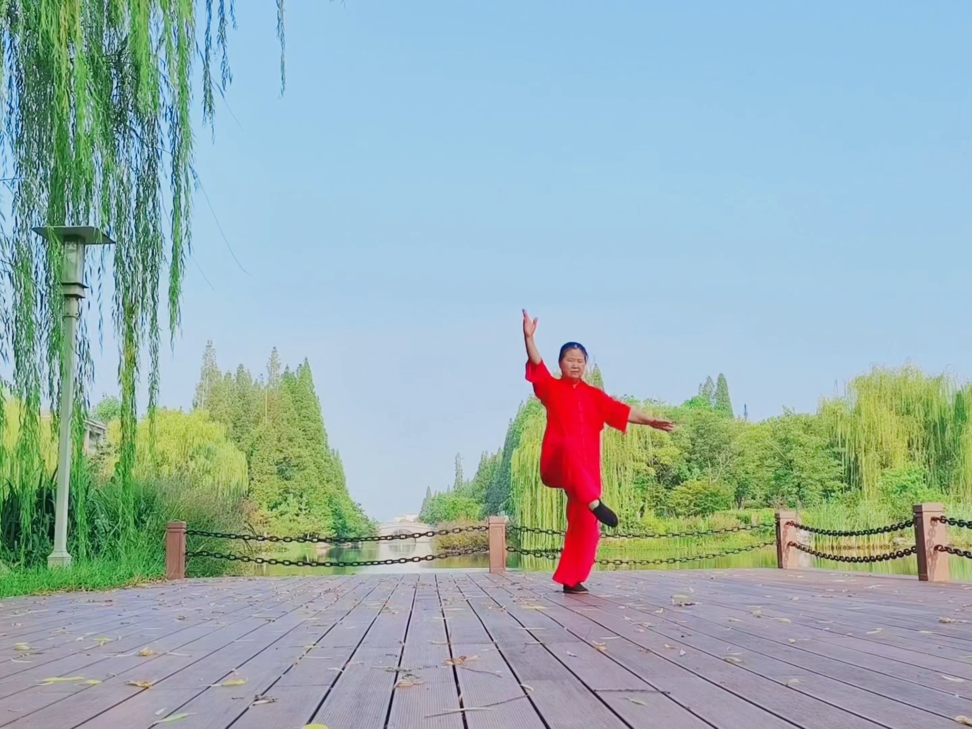 竹林 · 太乙游龙拳之平分秋色