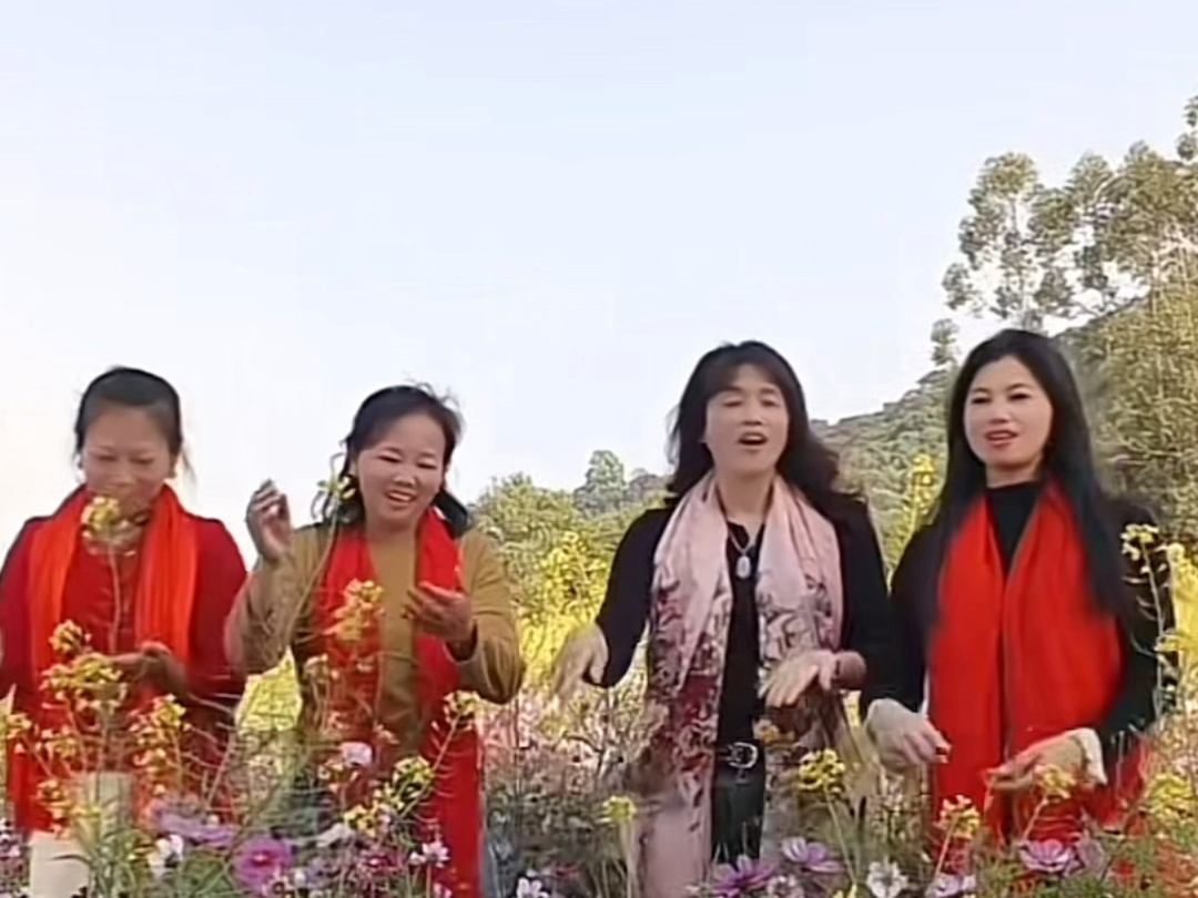 花开的时候你就来看我