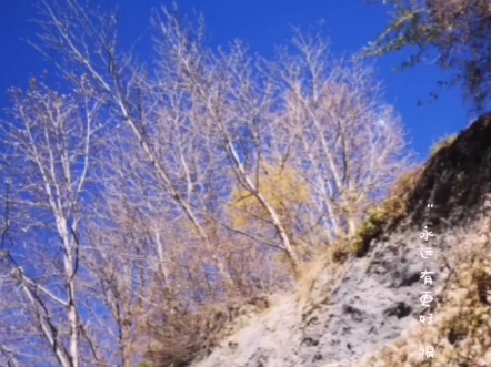 遇见米亚罗＃我用摄影看世界2020年11月