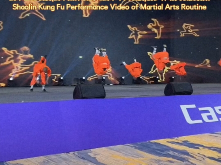 武术套路表演(武术集体表演和武术个人表演)的少林功夫表演视