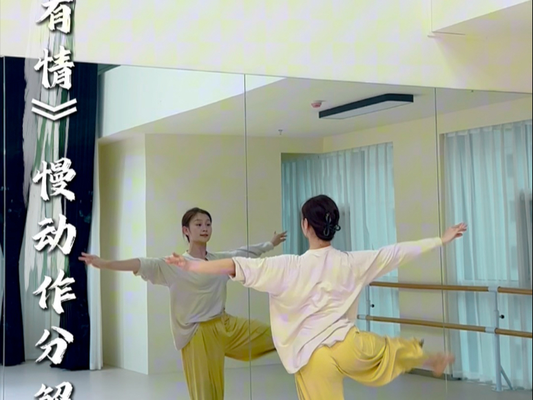 廿肆·冬至舞蹈工作室《天若有情》舞蹈慢动作分解教学